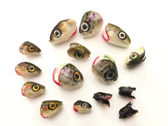 Fifteen Piece Head Pack DIY Fish Heads for Fly Tying and Spin Rod