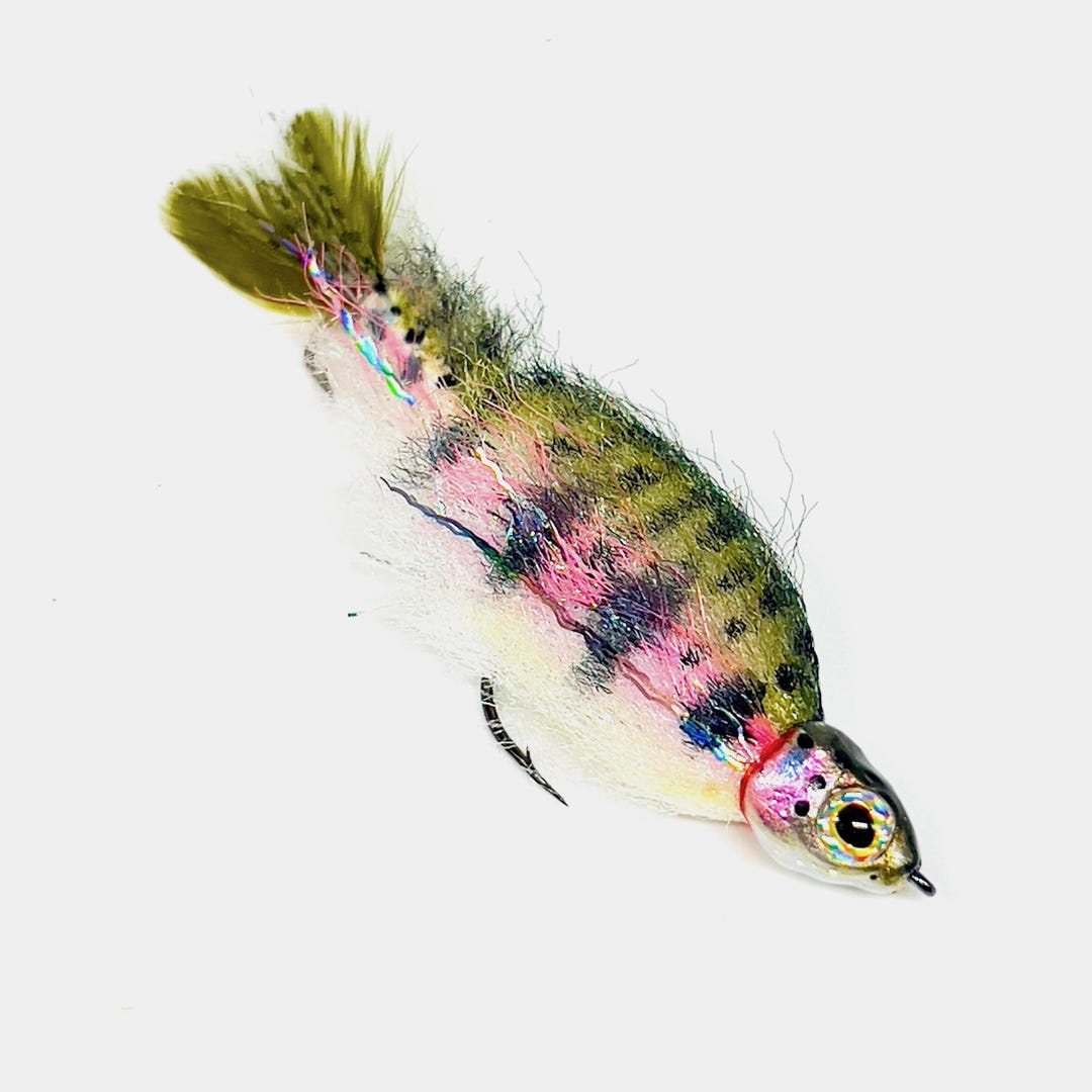 Philias Baby Trout フライリール　レア品 キラクPhilias Baby trout フライリール - メルカリ