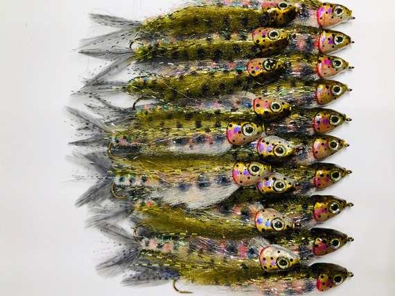 20 Baby Rainbow Trout Flies Articulated Fly Fishing or Spin Rod