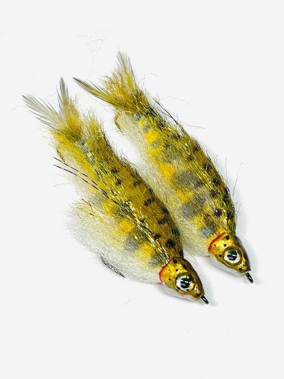 Buy Twin Pack of Baby Brown Trout Flies Articulated Fly Fishing Online in  India 