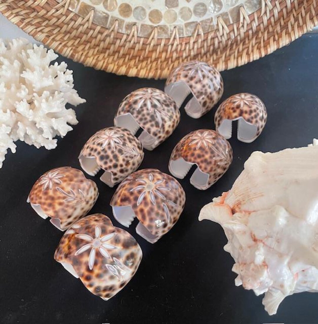 Cowrie Shell Napkin Rings Carved Cowrie Napkin Holders Coastal Decor ...