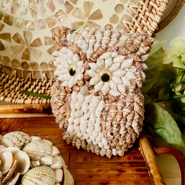 Shell Owl Shell Art Beach Decor Coastal Decor Owl Figurine Decorative Shell Owl Shell Adorned Owl Shell Collector Owl Love Owl Collector
