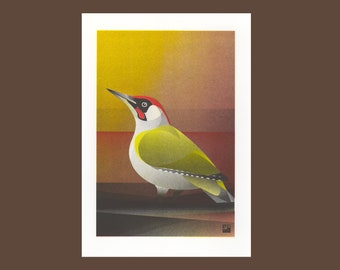 A4 Risograph print Birds - Green Woodpecker, riso artprint in 3 colors