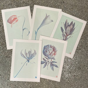 5x Tirage risographe botanique A4 : Bloom (pivoine, tulipe, lys, lys grimpant et leucadendron)