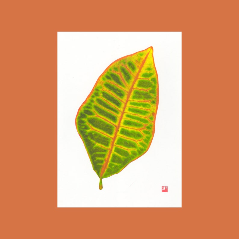A4 botanical risograph print: Leaf Croton image 1