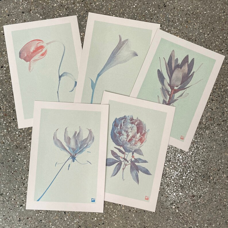 A4 botanical risograph print: Bloom Tulip image 6