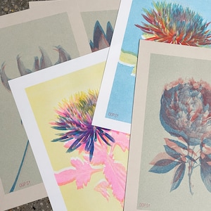 May include: Four different floral prints with a yellow background, a blue background, a beige background, and a brown background. The prints feature various flowers in shades of pink, blue, and purple.