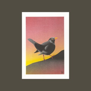 A4 Risograph print Birds - Blackbird, artprint in 3 colors