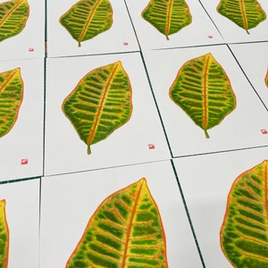 A4 botanical risograph print: Leaf Croton image 4