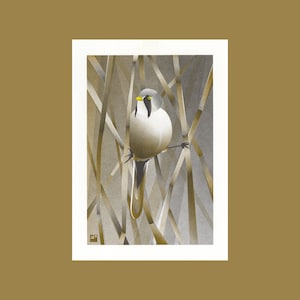 Könnte beinhalten: Ein Druck eines stilisierten Vogels, der auf Schilf sitzt. Der Vogel hat einen grauen Körper, einen gelben Schnabel und eine schwarze Maske. Das Schilf ist in Braun- und Grautönen gehalten, vor einem weißen Hintergrund.