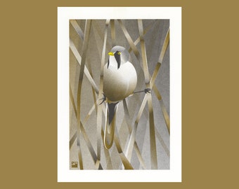 A4 Risograph print Birds - Bearded reedling (aka Bearded tit or Bearded parrotbill), artprint in 3 colors