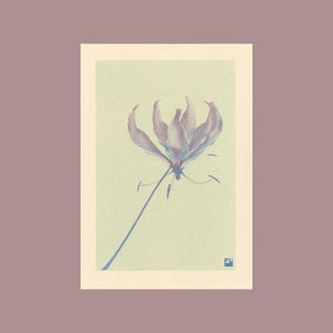 A4 botanical risograph print: Bloom – Climbing Lily