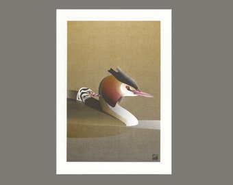 A4 Risograph print - Grebe with chick, artprint in 3 colors