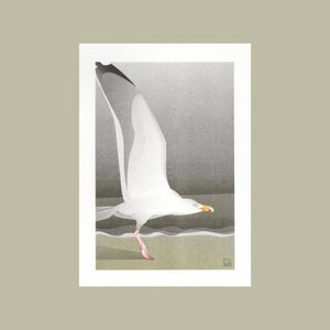 A4 Impresión risográfica Aves - Gaviota argéntea, risoprint en 3 colores
