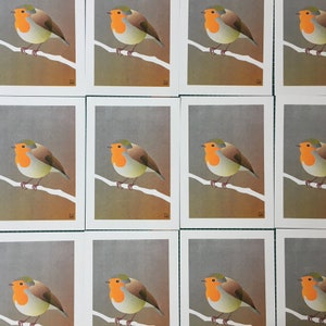 A4 Risograph print Birds Robin redbreast, artprint in 3 colors image 4