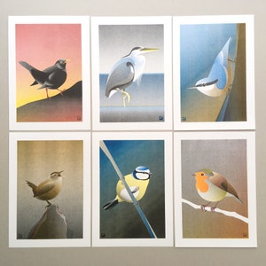 A4 Risograph print Birds Robin redbreast, artprint in 3 colors image 6