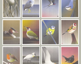 Birds postcards - set of 6 / 8 / 10 / 12 cards  - A6 -