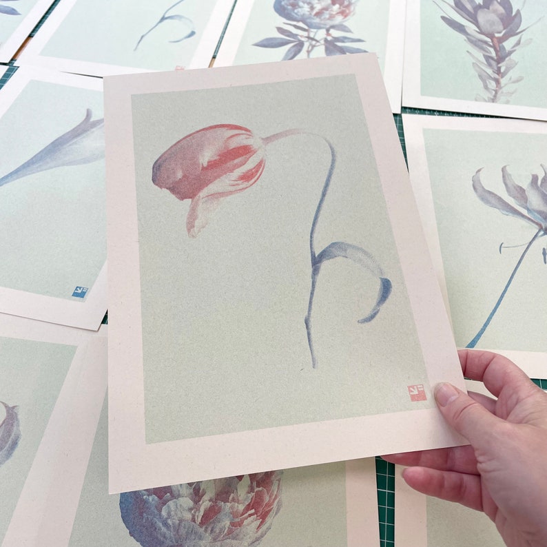 A4 botanical risograph print: Bloom Tulip image 2