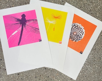 Risograph prints at a discount, old stock sale: pine cone, dragonfly and/or dandelion seed