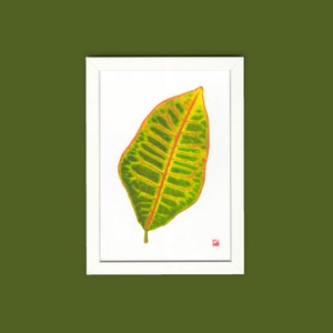 A4 botanical risograph print: Leaf Croton image 5