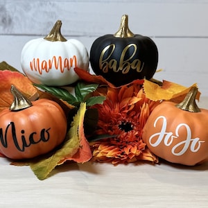 Puede incluir: Cuatro pequeñas calabazas decorativas con nombres escritos en ellas. Las calabazas son de color naranja y negro y están sentadas sobre un lecho de hojas de otoño. Los nombres en las calabazas son "Maman", "Baba", "Nico" y "JoJo".