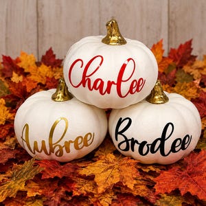 May include: Three white decorative pumpkins with metallic gold stems. The top pumpkin features the name Charlee in red script. The bottom left pumpkin displays the name Aubree in gold script, and the bottom right pumpkin shows the name Brodee in black.