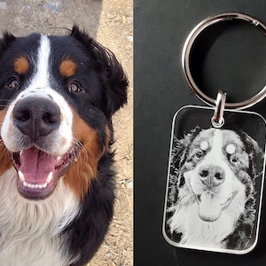 Op de afbeelding: Een sleutelhanger van helder acryl met een foto van een zwart-wit-bruine Berner Sennenhond. De hond glimlacht met zijn tong naar buiten. De sleutelhanger heeft een zilveren metalen ring.