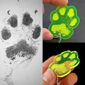 Puede incluir: Un llavero con forma de huella de pata verde con una cadena plateada. La huella de pata está hecha de plástico transparente con un acabado verde que brilla en la oscuridad.