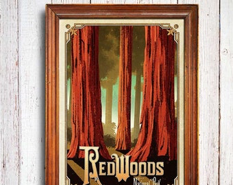 Redwoods poster, Redwoods National Park , Redwoods California, Redwoods art print, Redwoods tree, national park poster