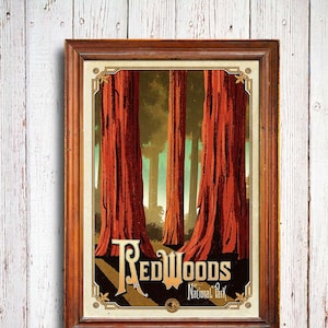 Redwoods poster, Redwoods National Park , Redwoods California, Redwoods art print, Redwoods tree, national park poster