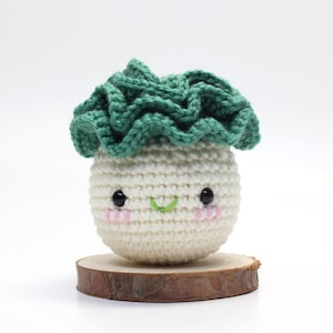 Amigurumi Pattern, Crochet Pattern, PDF,  Digital file, Pattern, English, Handmade, Korean Cabbage