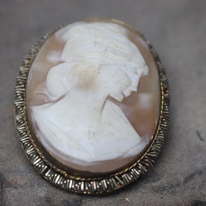 Old Vintage Carved Shell Cameo Brooch Pin Pendant Necklace