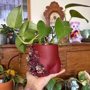 Könnte beinhalten: Ein burgunderfarbener Keramiktopf mit einem strukturierten 3D-Design aus Blumen und Blättern. Der Topf enthält eine grüne Topfpflanze mit langen, herabhängenden Ranken.