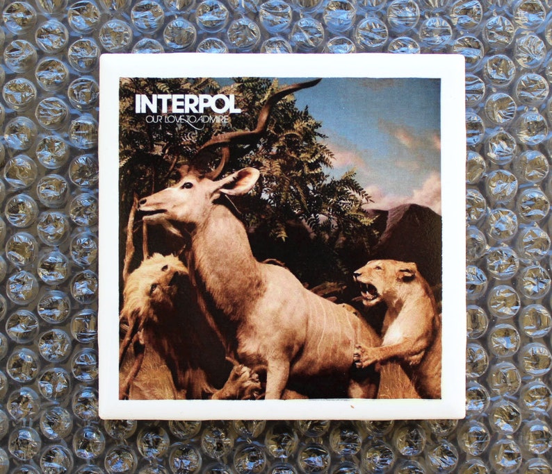 Interpol Our Love To Admire Full Album Torrent