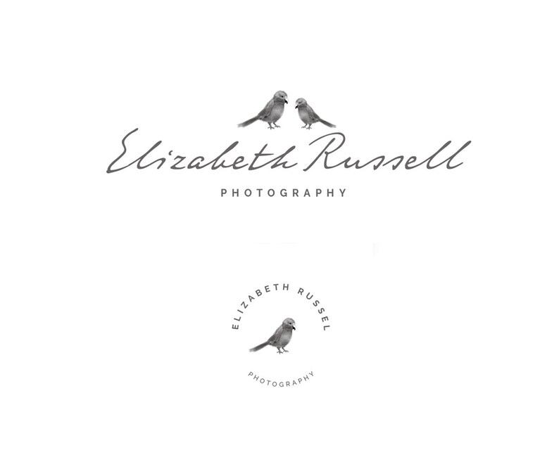 Review Getting A Photography Logo Created By Photologo
