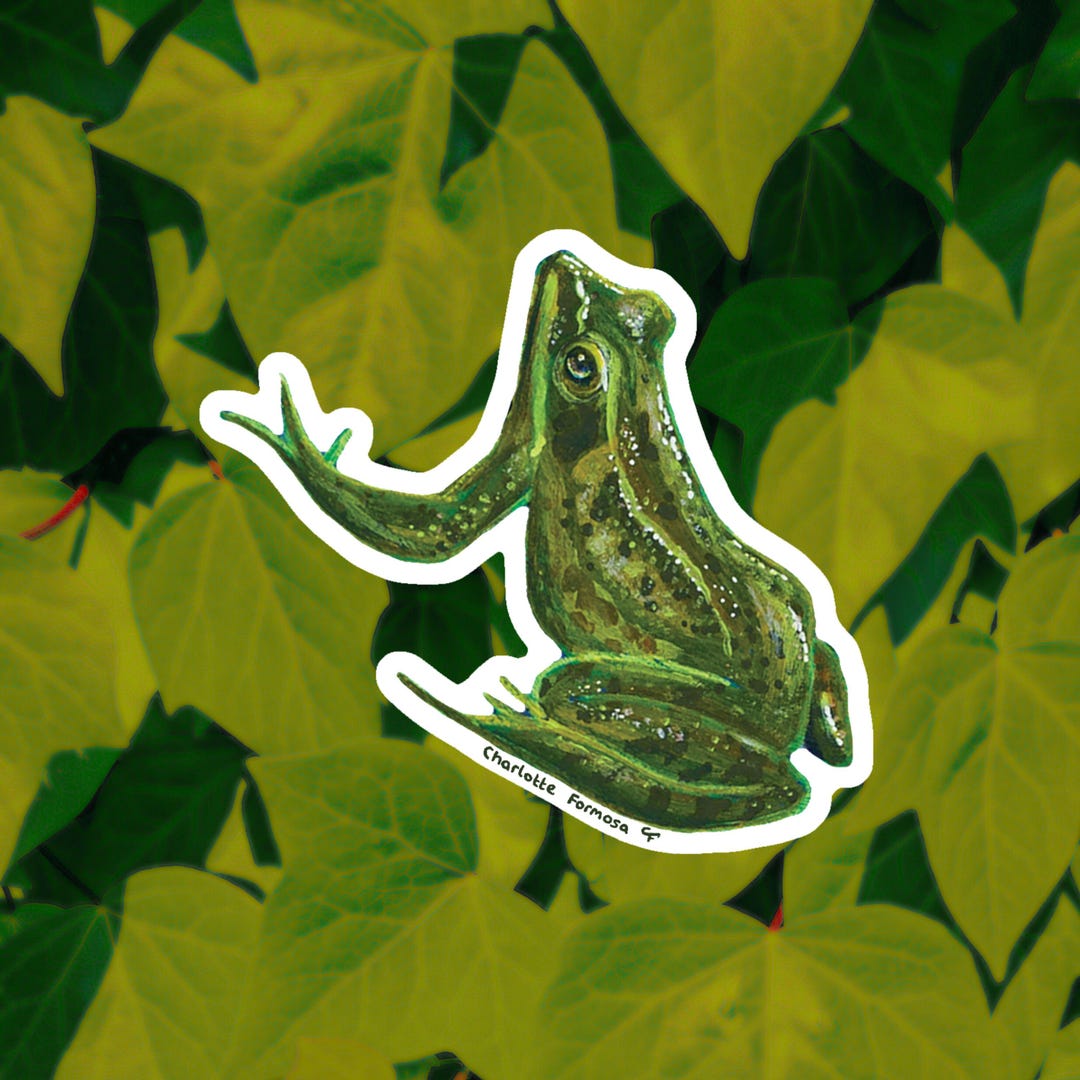 Green Frog Art Sticker: Amphibian Vinyl Waterproof Decal - Etsy Canada