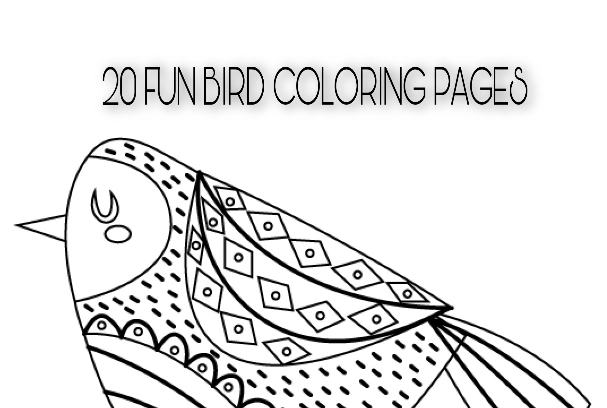 20 Fun Bird Coloring Pages Vol. 2 | Etsy