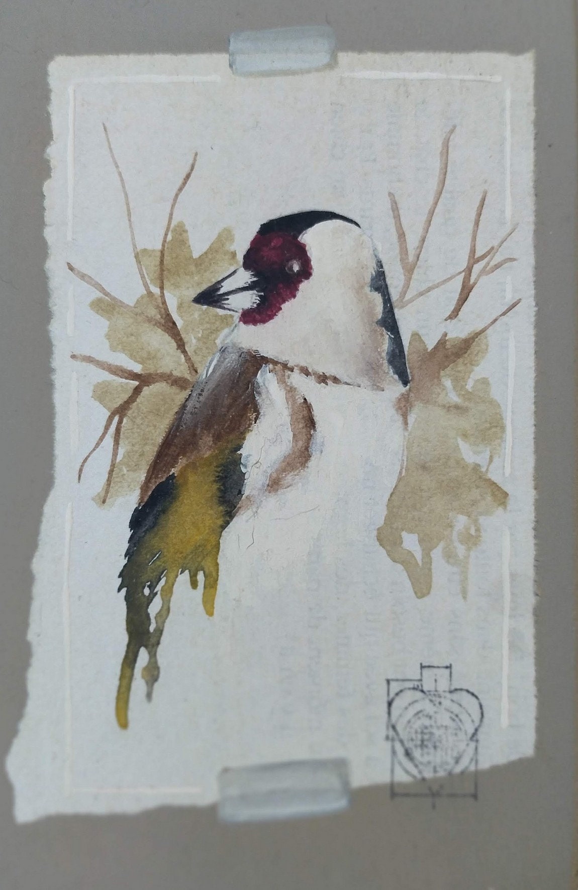 Petit Cadre, Chardonneret