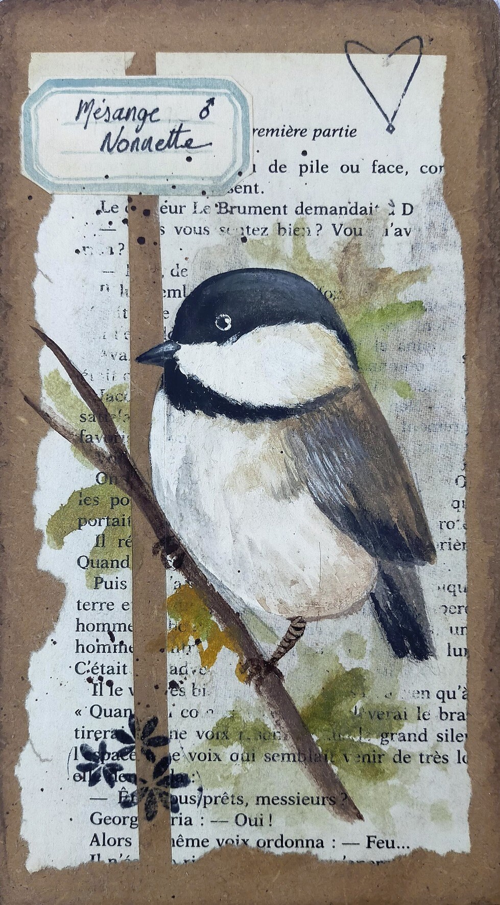 Mésange Nonnette sur Petit Cadre