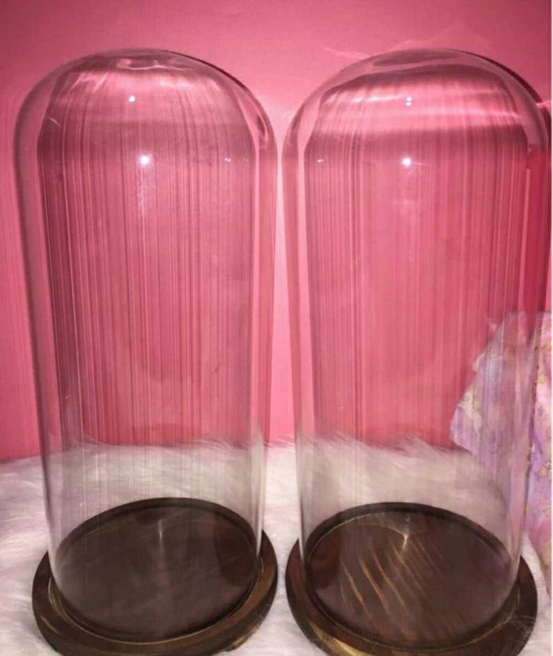 Glass Doll Display Case Glass Designs