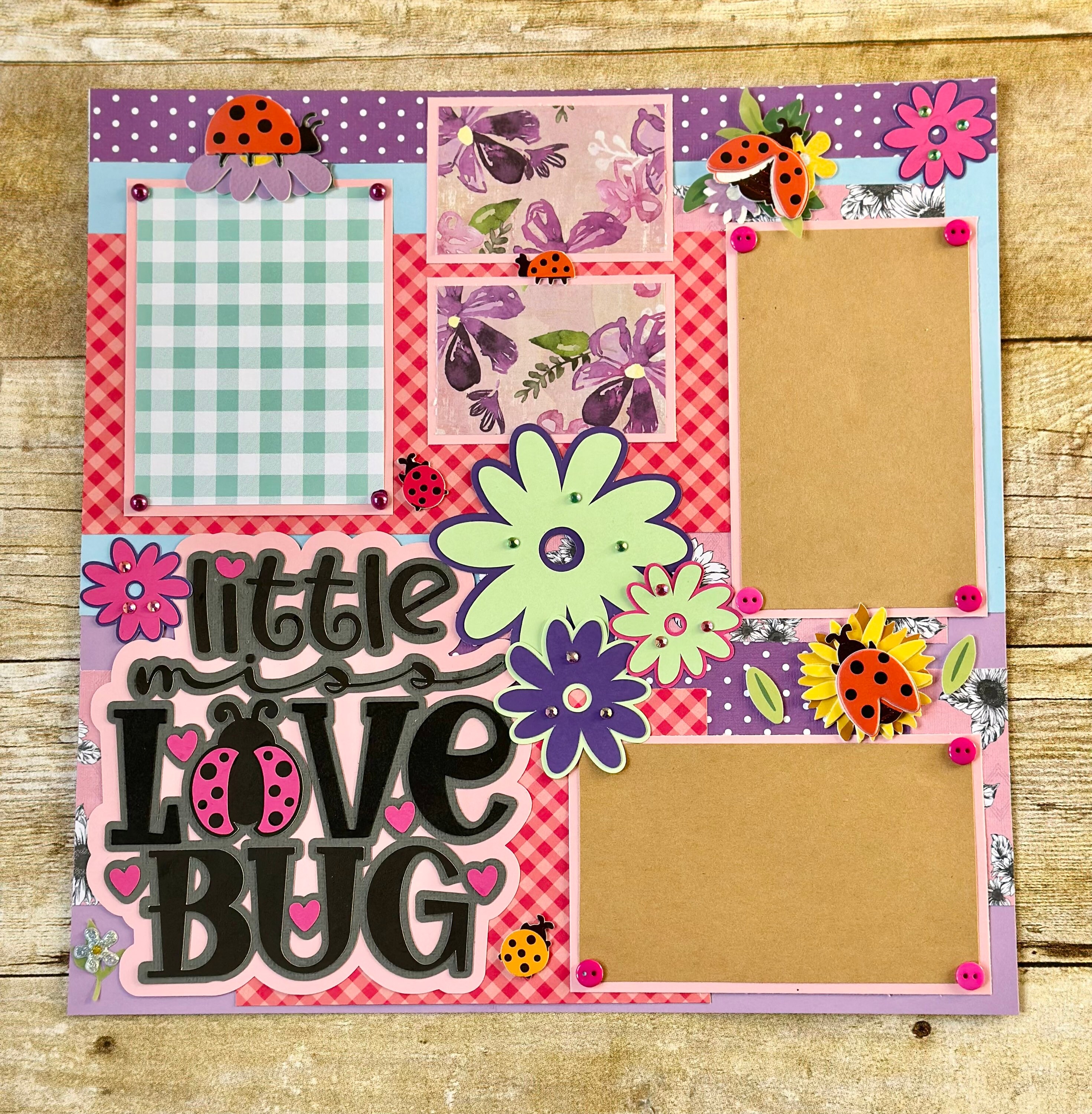 Ladybug 12x12 inch printable for scrapbooking and paper crafting  Livro de  recortes, Personalizados ladybug, Papel para scrapbook