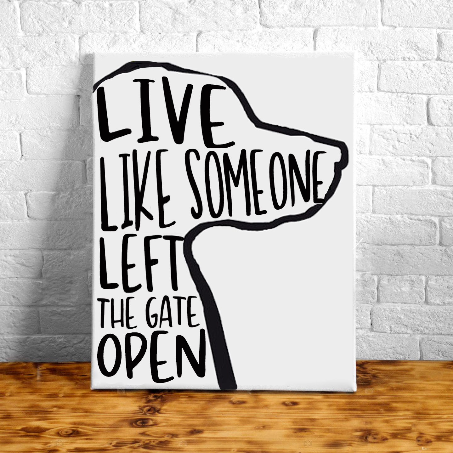 Do Dogs Prefer Certain Colors