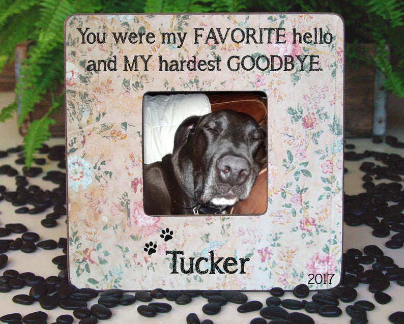 Download Pet Portraits Art Collectibles Pet Loss Frame Pet Memorial Gifts Rainbow Bridge Pet Loss Gift Sympathy Gift Pet Remembrance Dog Loss Pet Memorial Frame Cat Loss