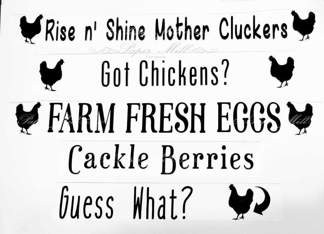 Funny Egg Holder Vinyl Decal Sayings Farmhouse Decor Farm Etsy