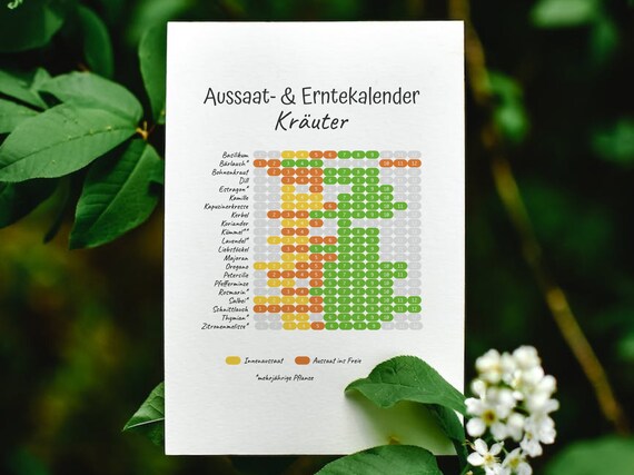 Aussaat Und Ernte Kalender Für Kräuter Saisonkalender Poster - Etsy