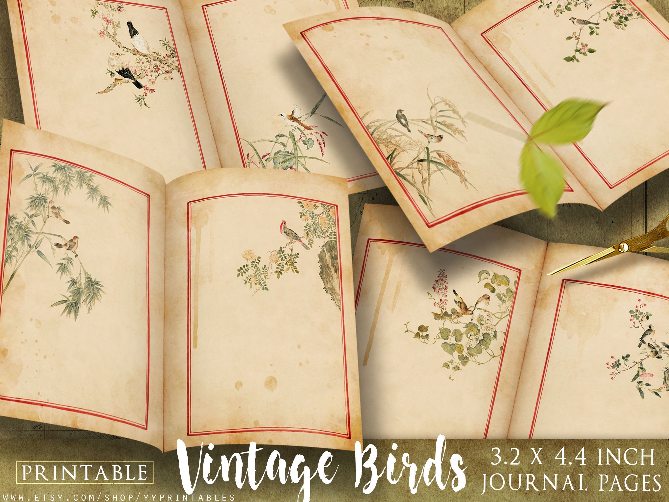 printable vintage birds journal pages 3 2x4 4 mini notebook etsy