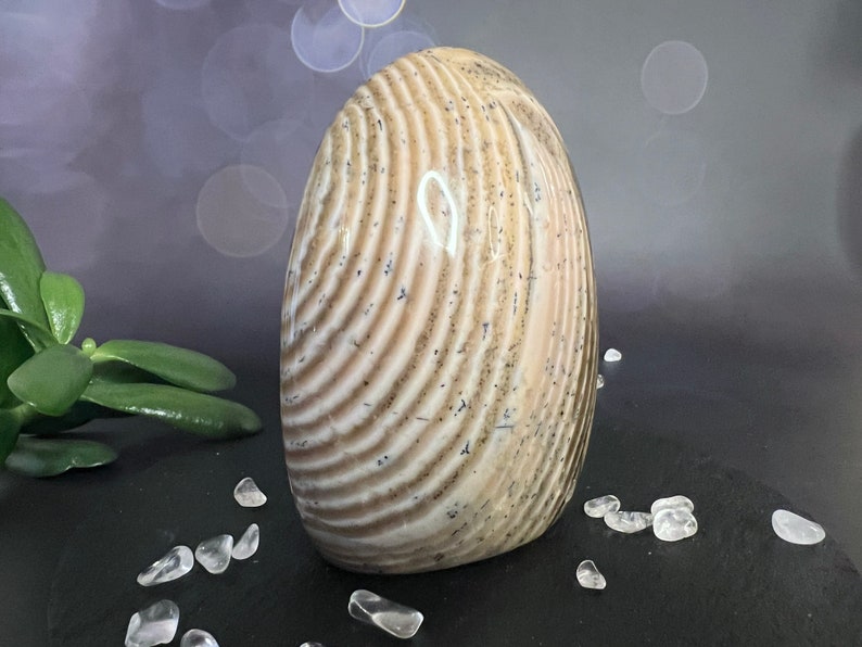 Indulge in the serene beauty of our Beige Creamy Agate Freeform
Size: approx. 4.5 inches
Weight: 737 grams = 26oz