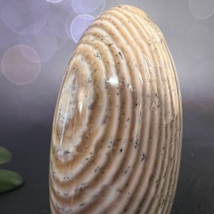 Indulge in the serene beauty of our Beige Creamy Agate Freeform
Size: approx. 4.5 inches
Weight: 737 grams = 26oz