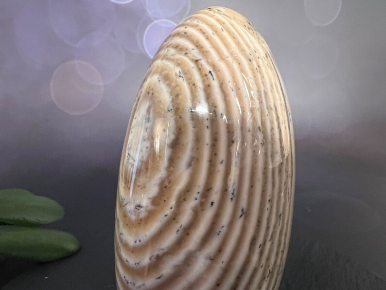 Indulge in the serene beauty of our Beige Creamy Agate Freeform
Size: approx. 4.5 inches
Weight: 737 grams = 26oz