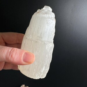 Op de afbeelding: Een doorschijnend wit seleniet kristalexemplaar met een vezelige, kolomvormige structuur en een grillige, onregelmatige bovenrand. Het mineraal vertoont een natuurlijke, langwerpige vorm met verticale strepen langs de gehele lengte.